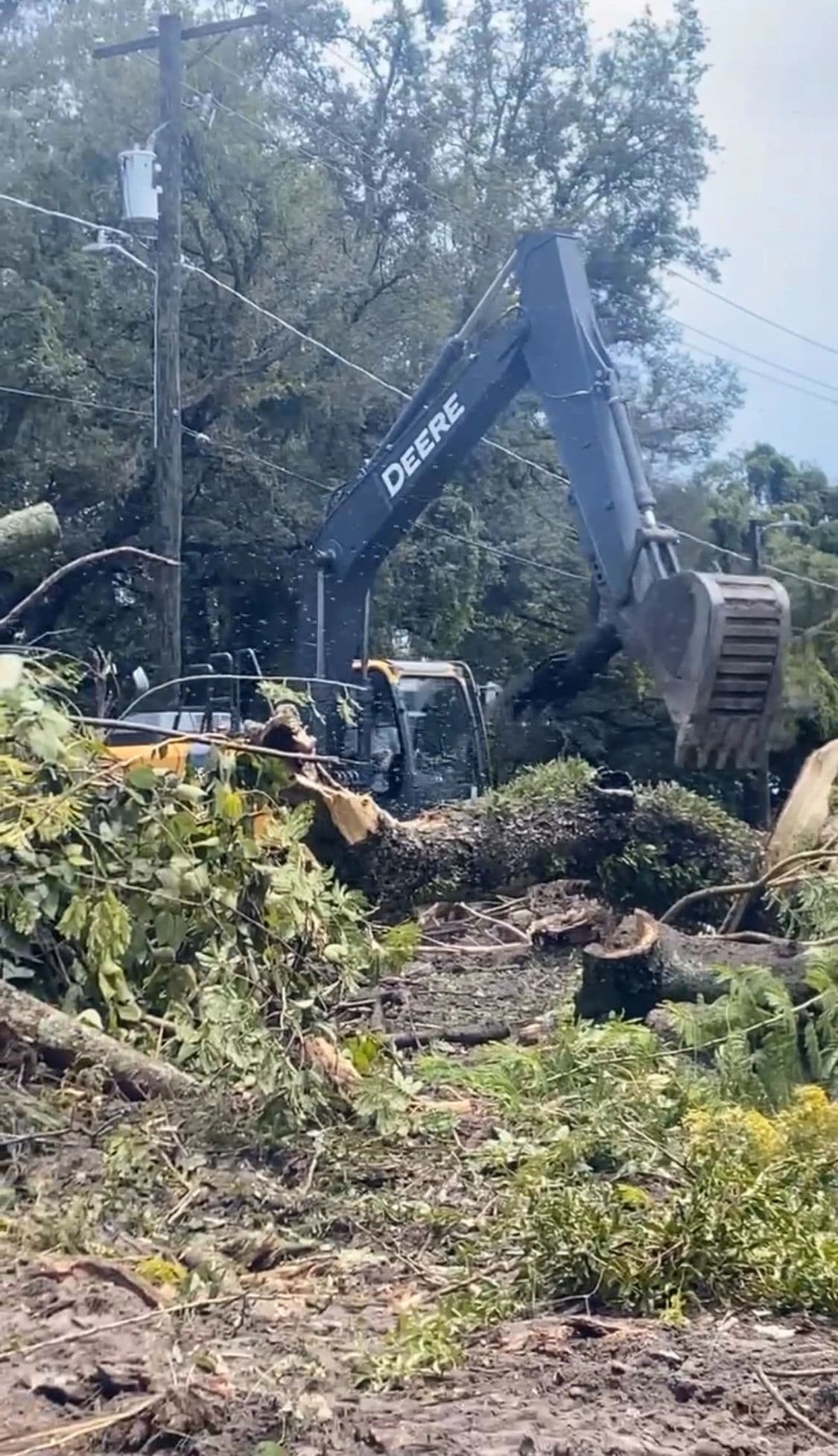 H&M Tree Service job photo 119