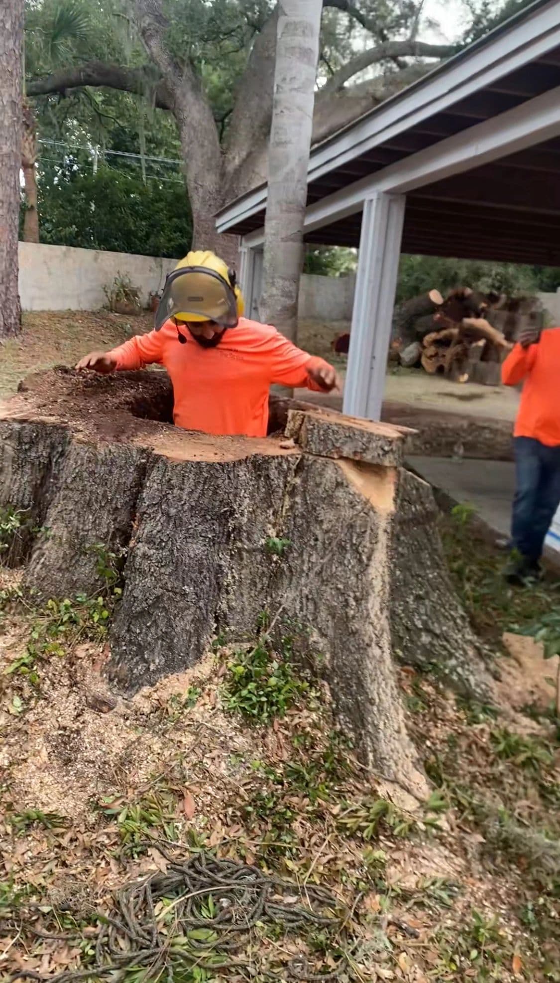 H&M Tree Service job photo 109