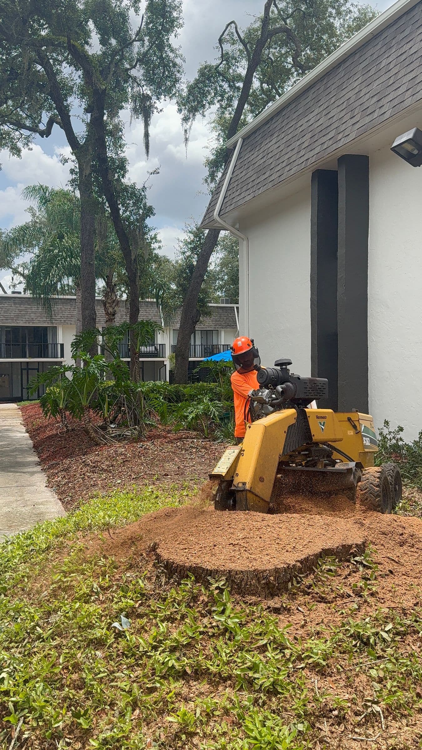 H&M Tree Service job photo 20