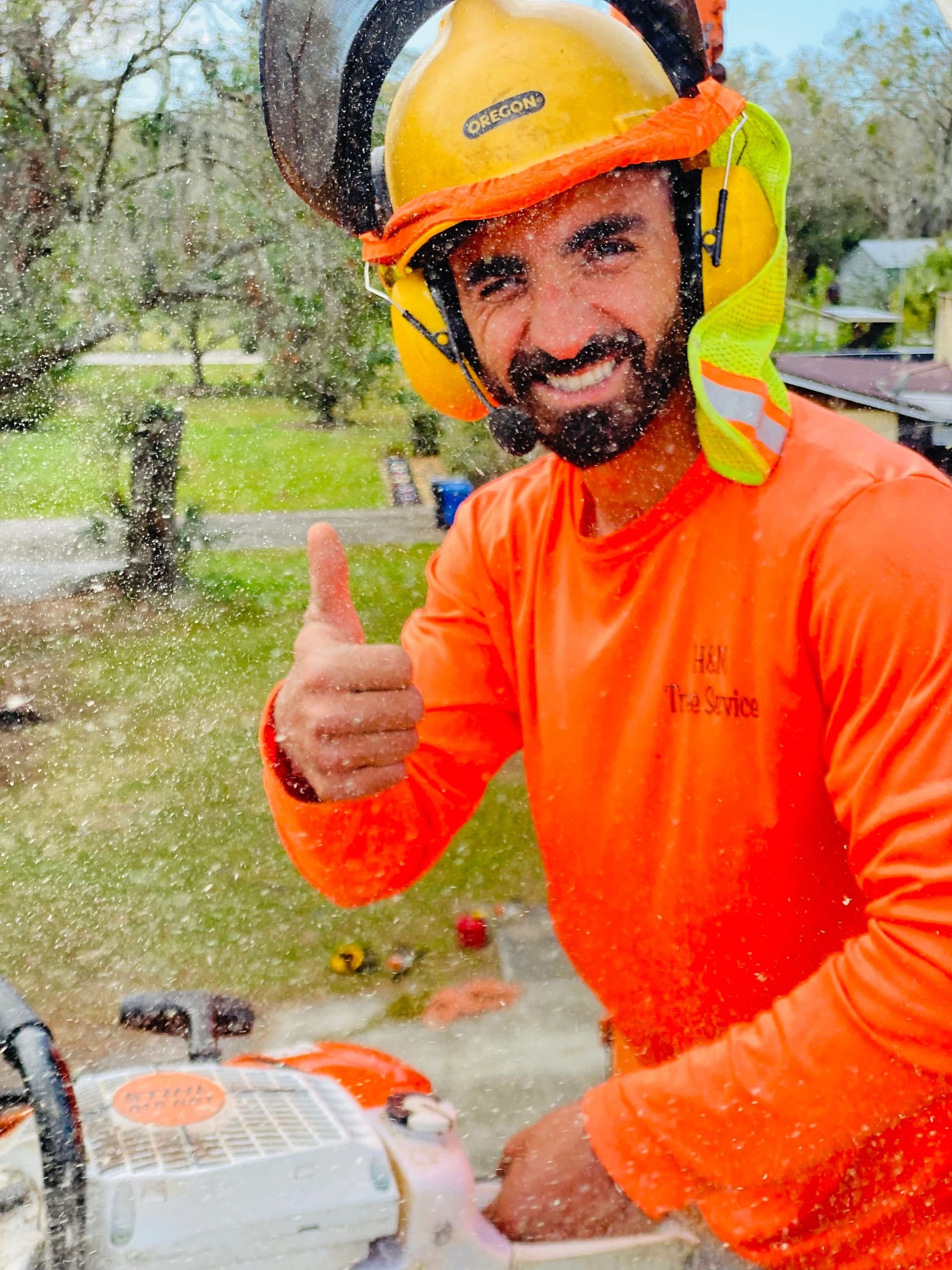H&M Tree Service job photo 44