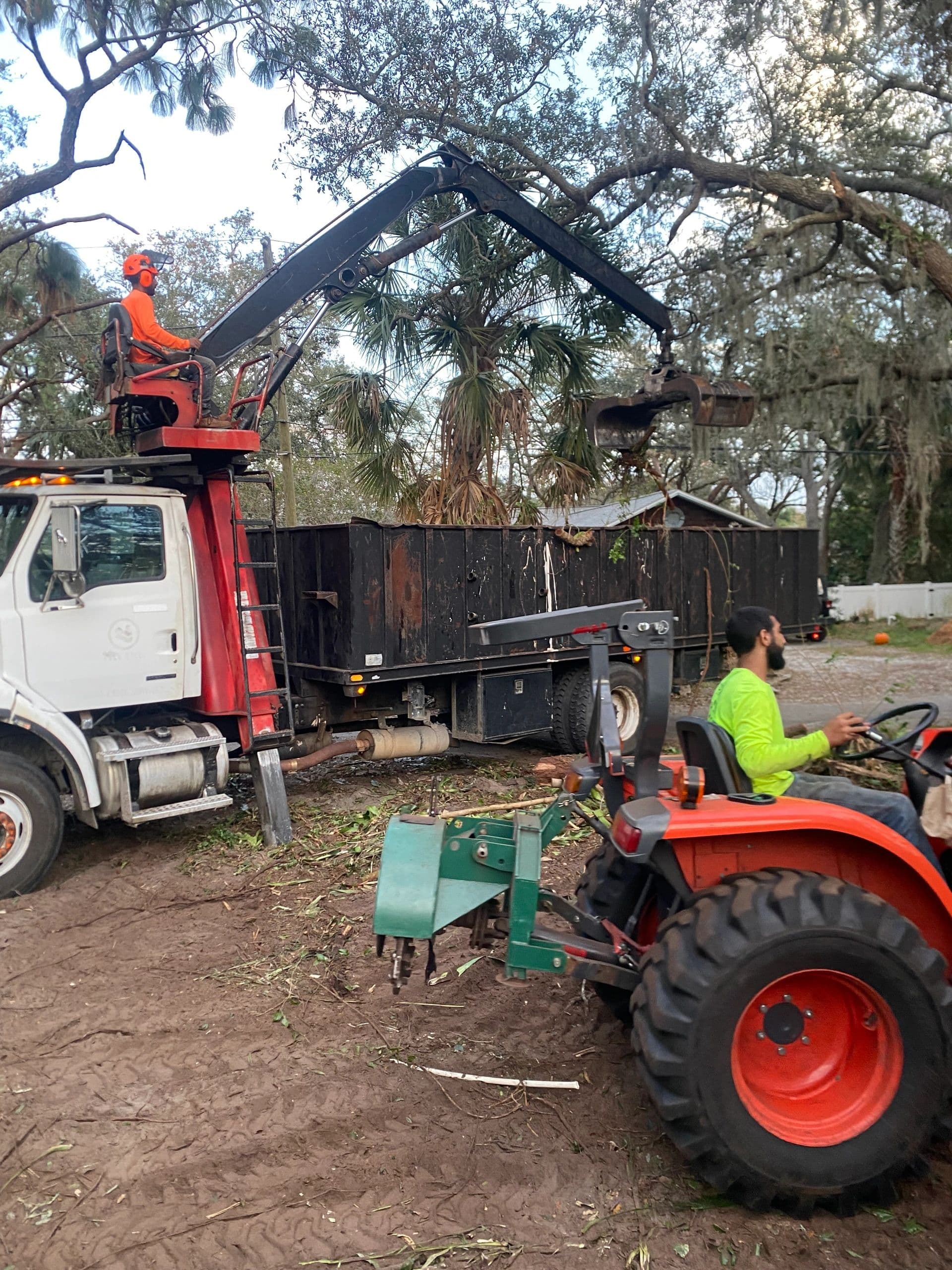 H&M Tree Service job photo 17