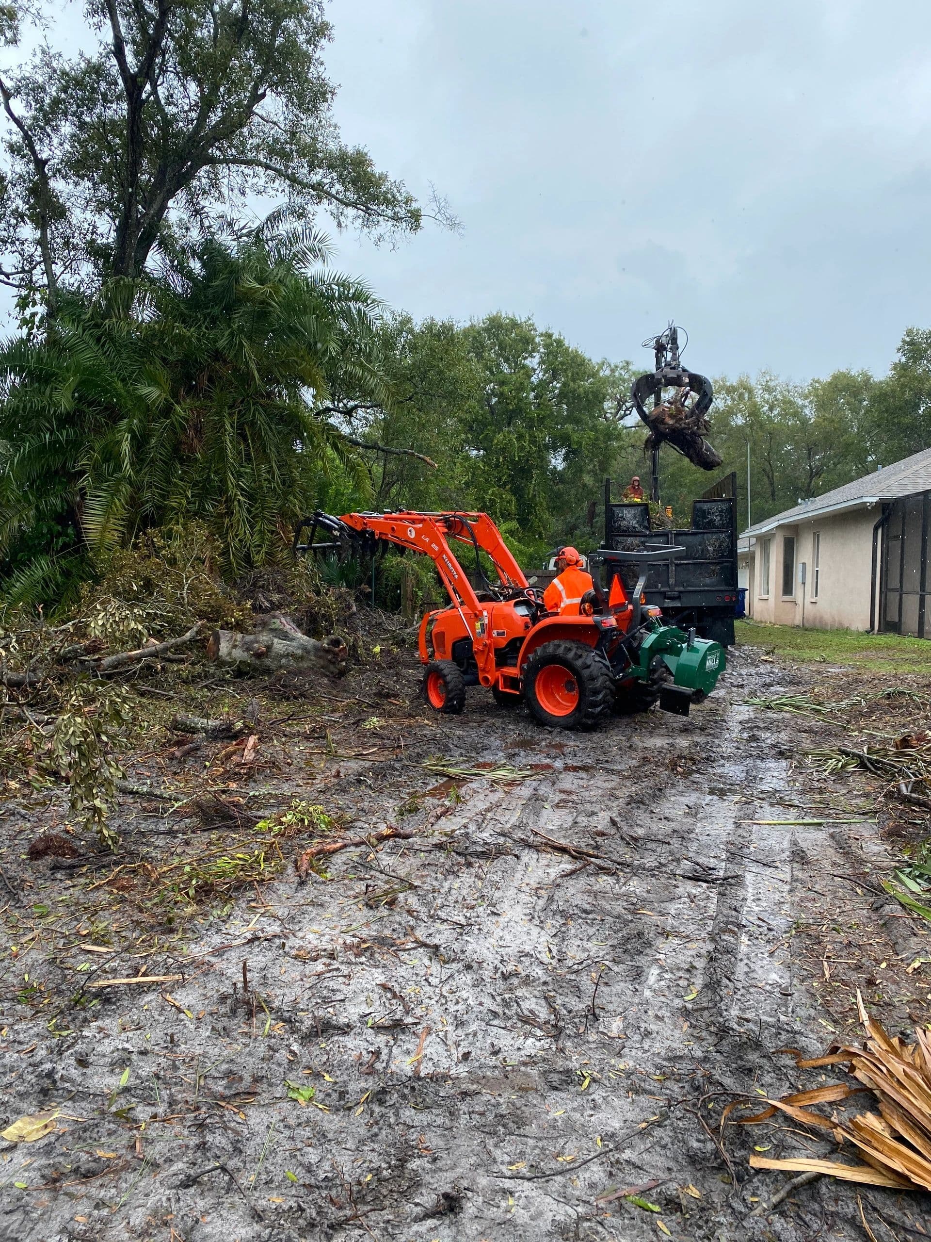 H&M Tree Service job photo 7