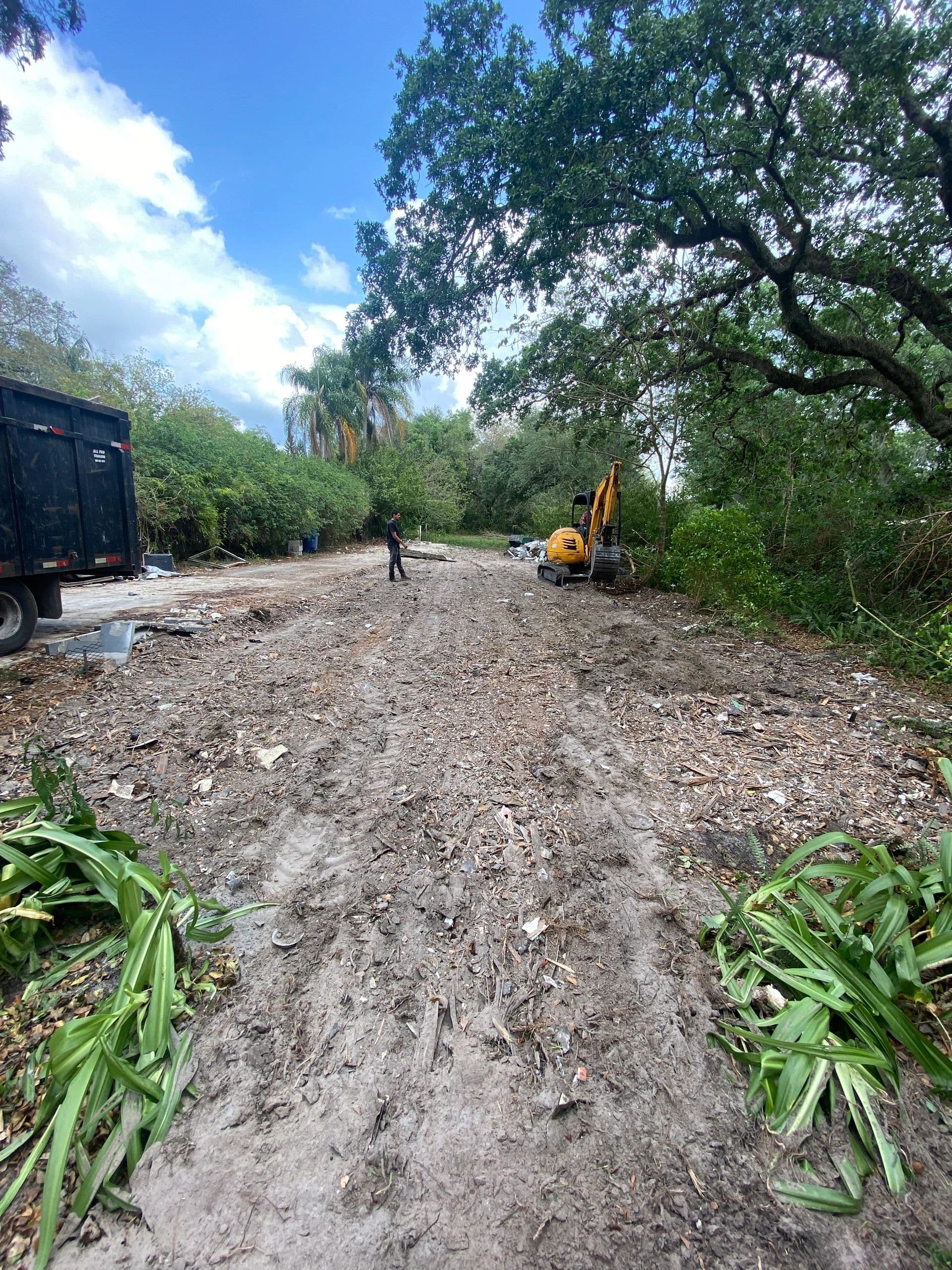 H&M Tree Service job photo 6
