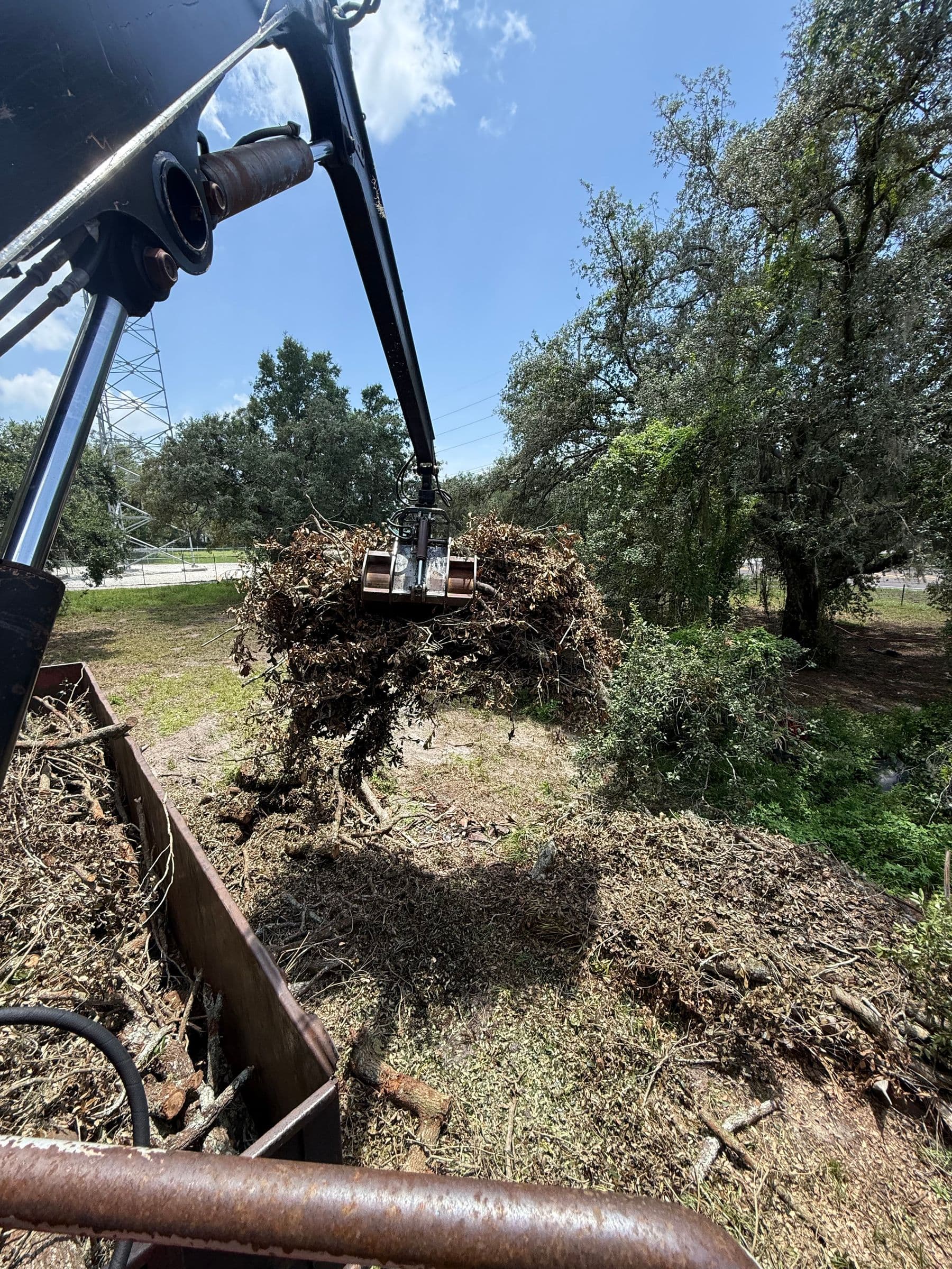 H&M Tree Service job photo 9