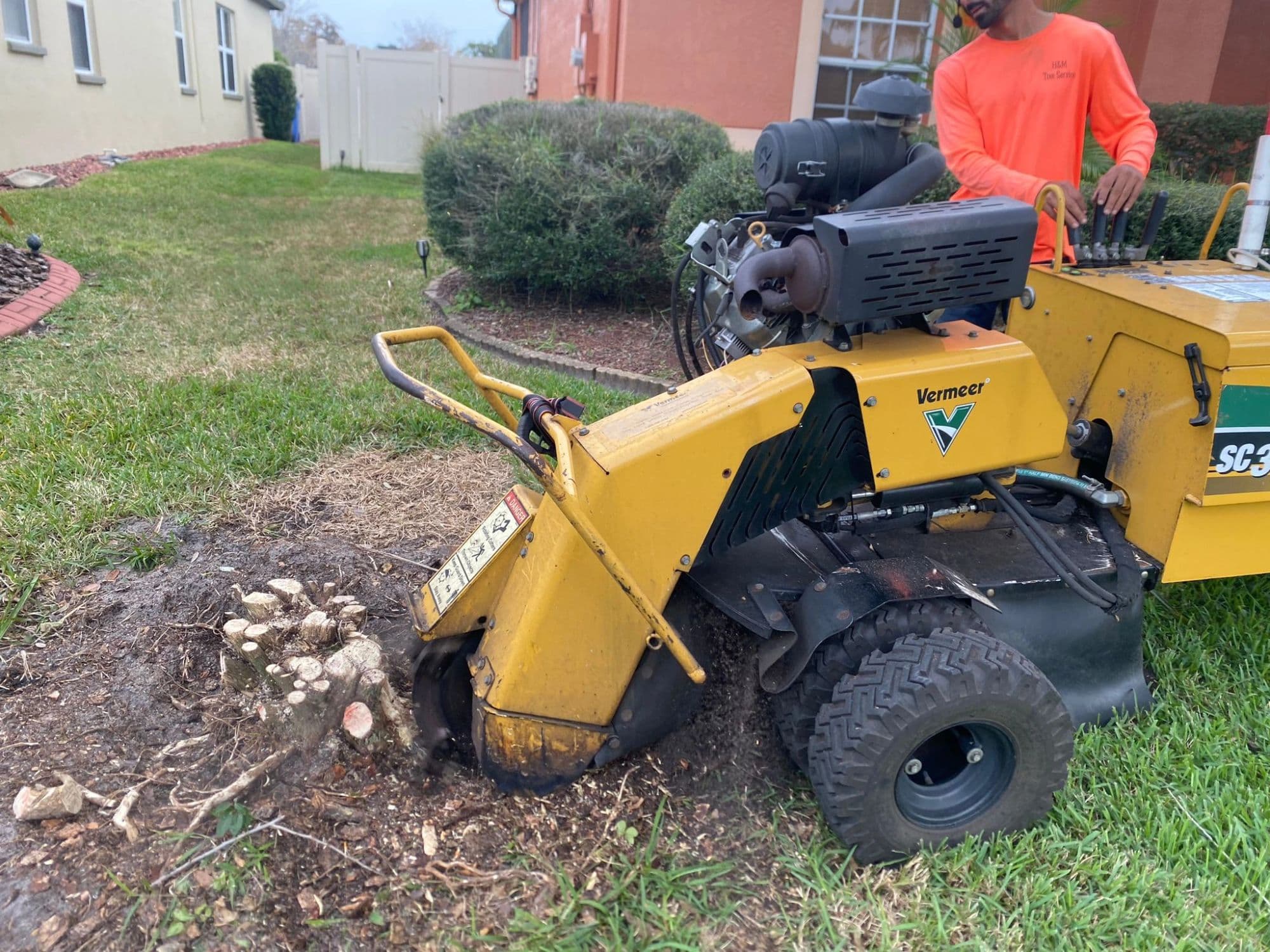 Stump Grinding