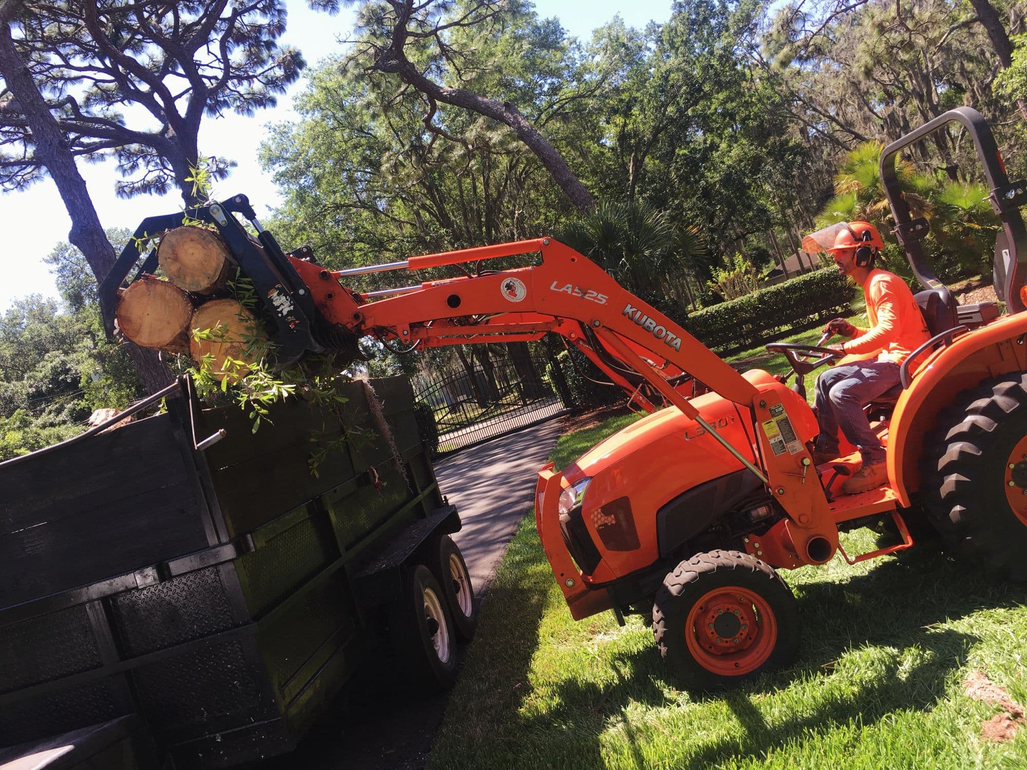 H&M Tree Service job photo 46