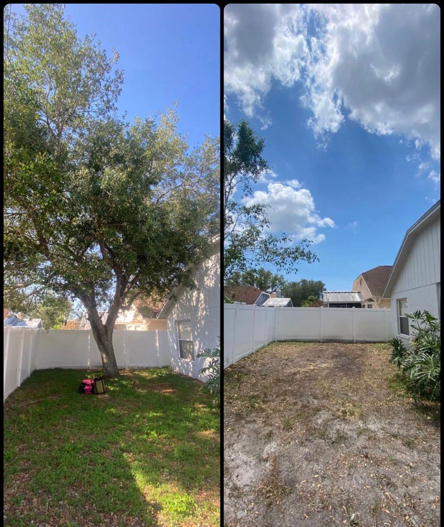 H&M Tree Service job photo 85