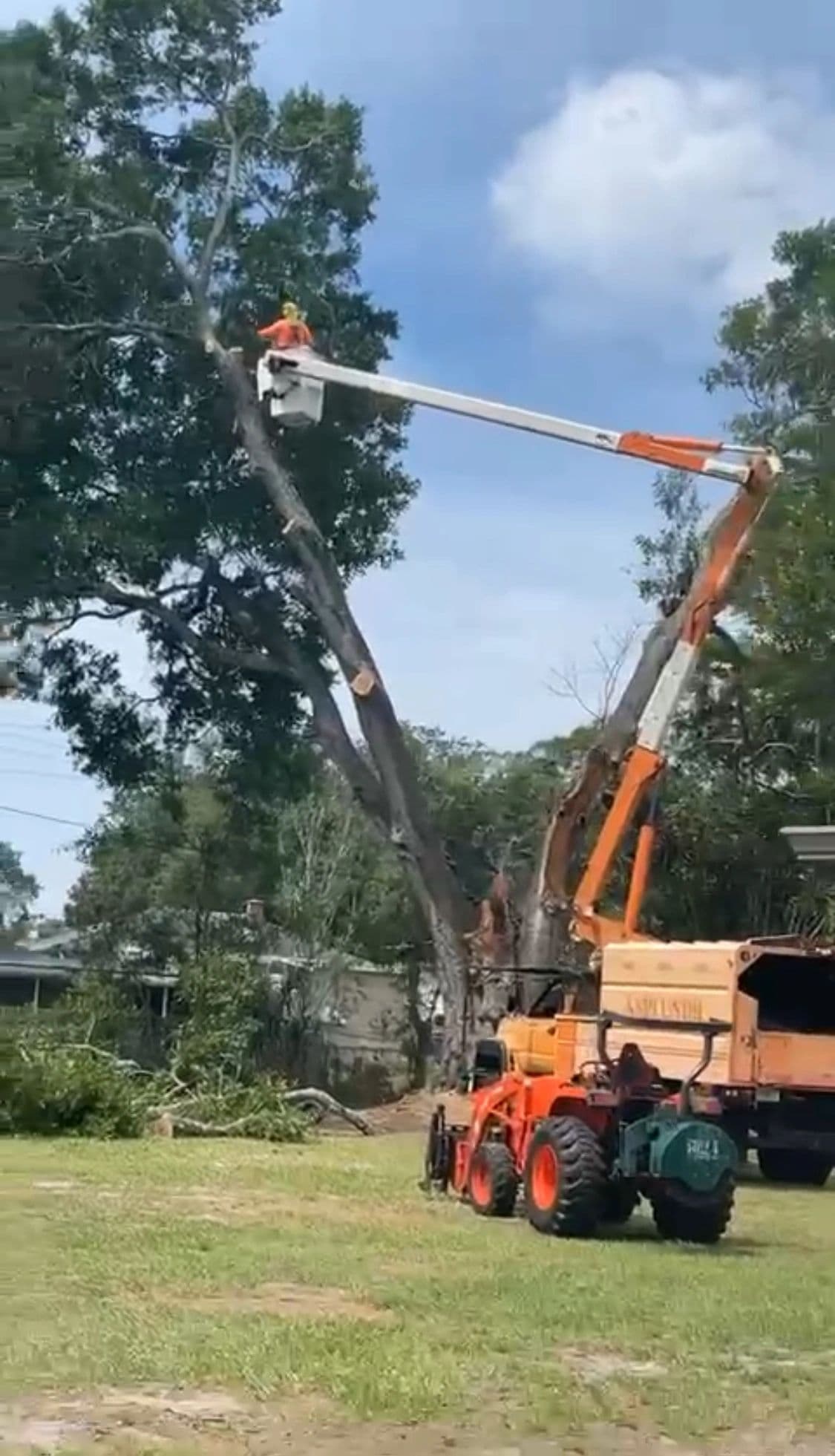 H&M Tree Service job photo 145