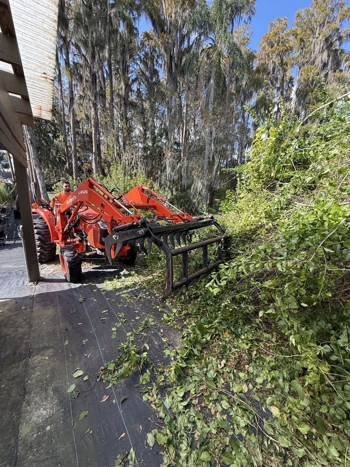 H&M Tree Service job photo 51