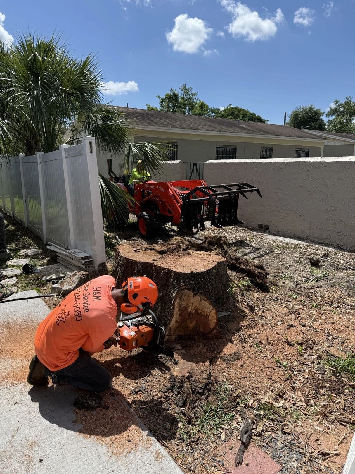 H&M Tree Service job photo 72