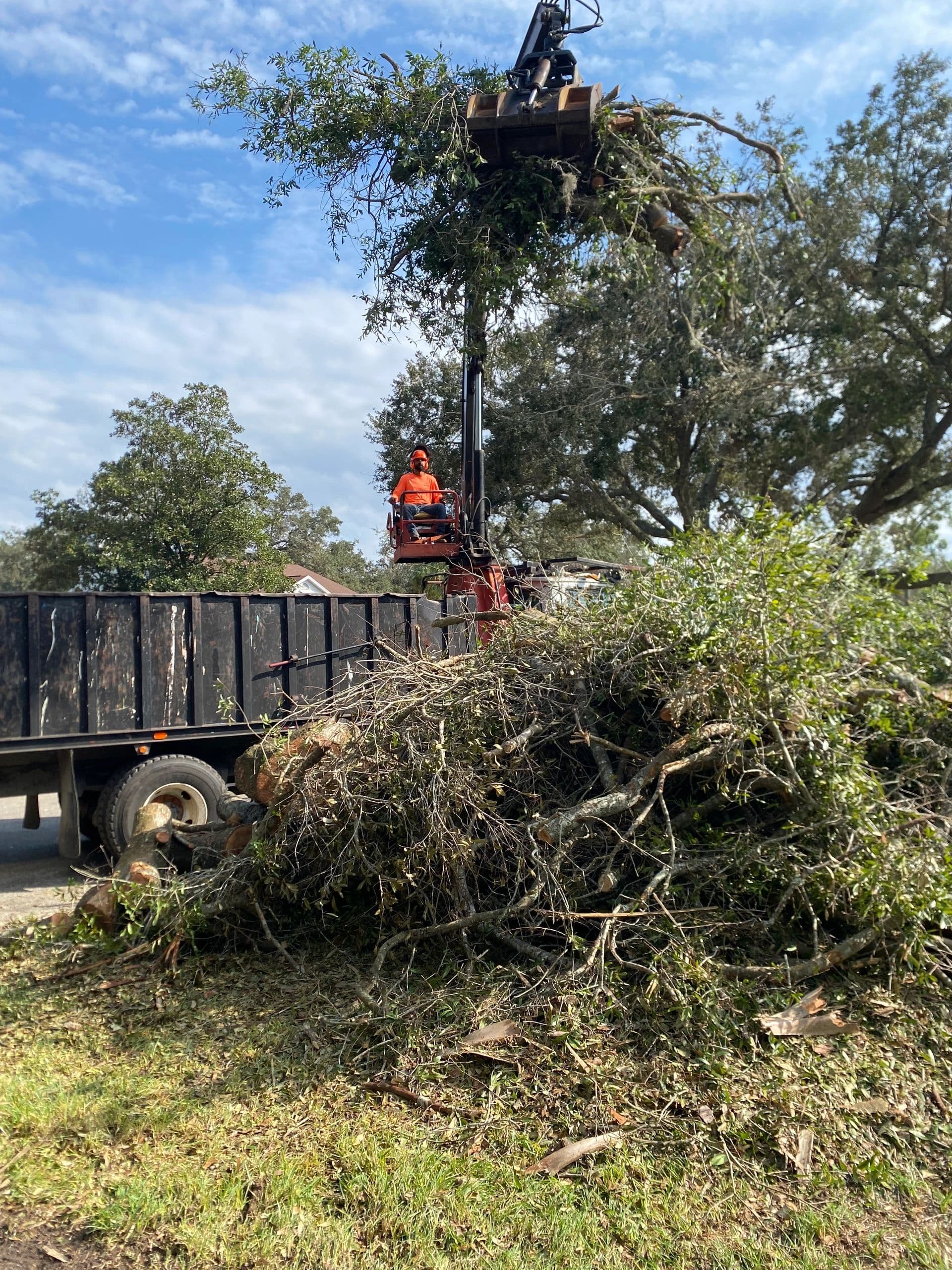 H&M Tree Service job photo 10