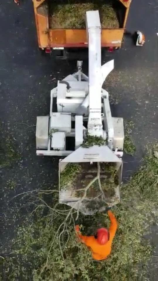 H&M Tree Service job photo 161