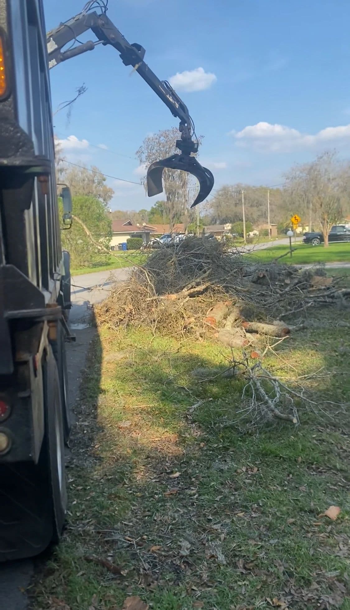 H&M Tree Service job photo 137
