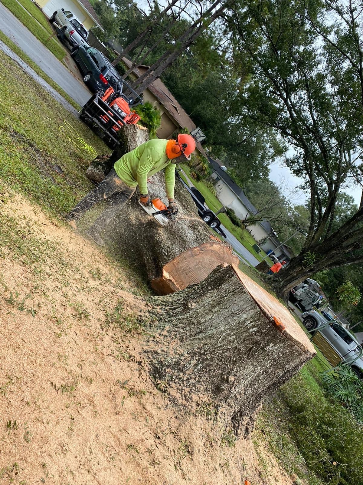 H&M Tree Service job photo 55