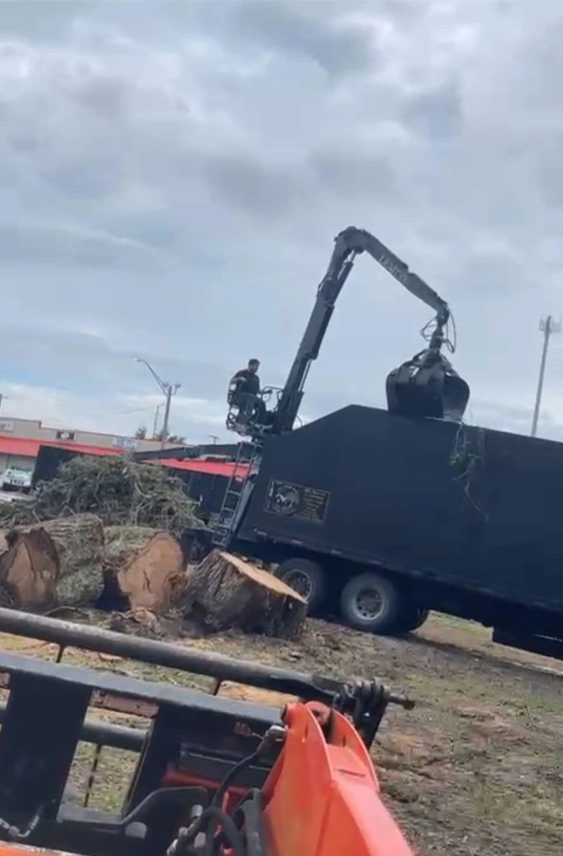 H&M Tree Service job photo 159