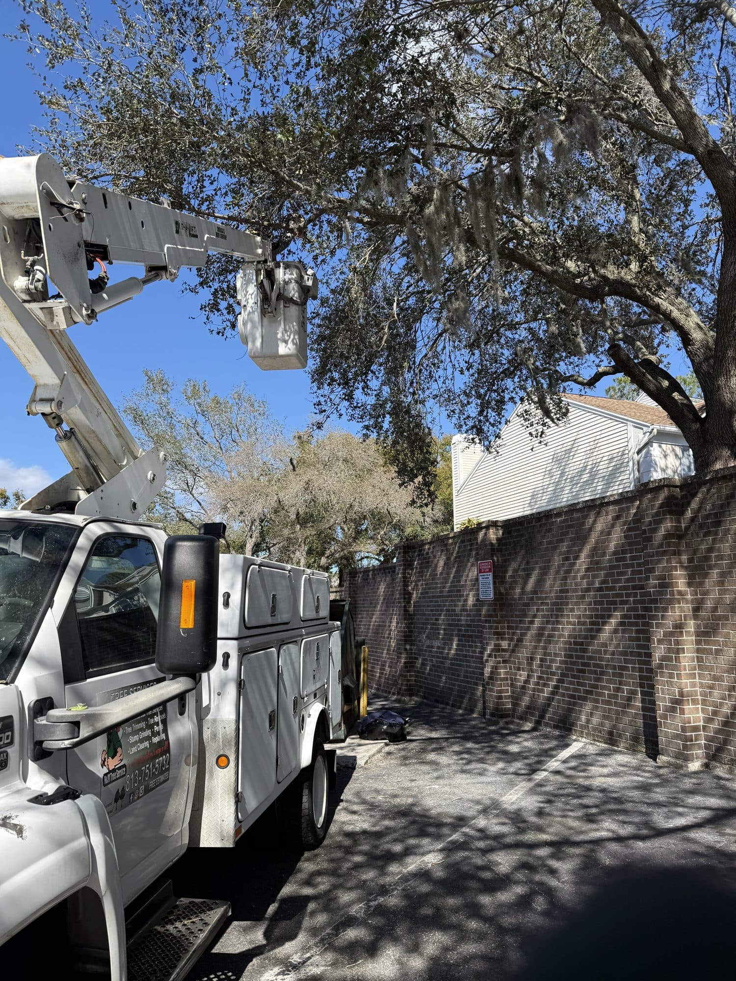 H&M Tree Service job photo 24