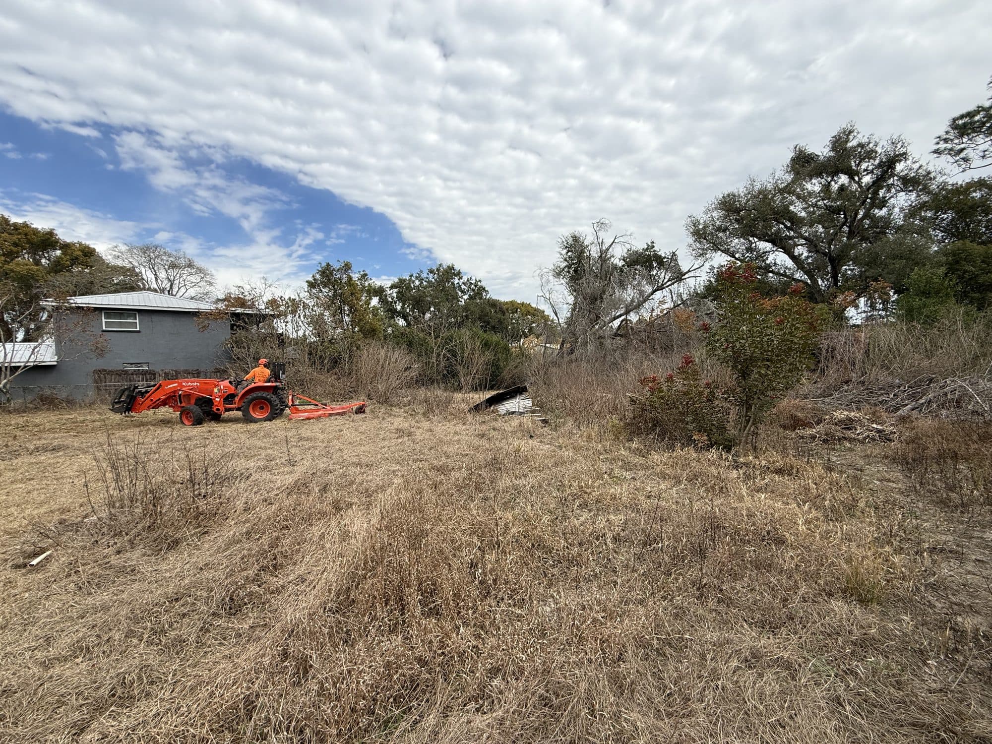 Tractor bush hogging an overgrown Tampa Bay lot
