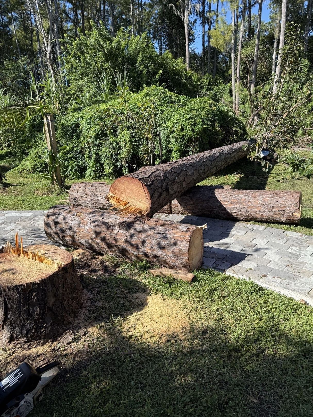 H&M Tree Service job photo 43