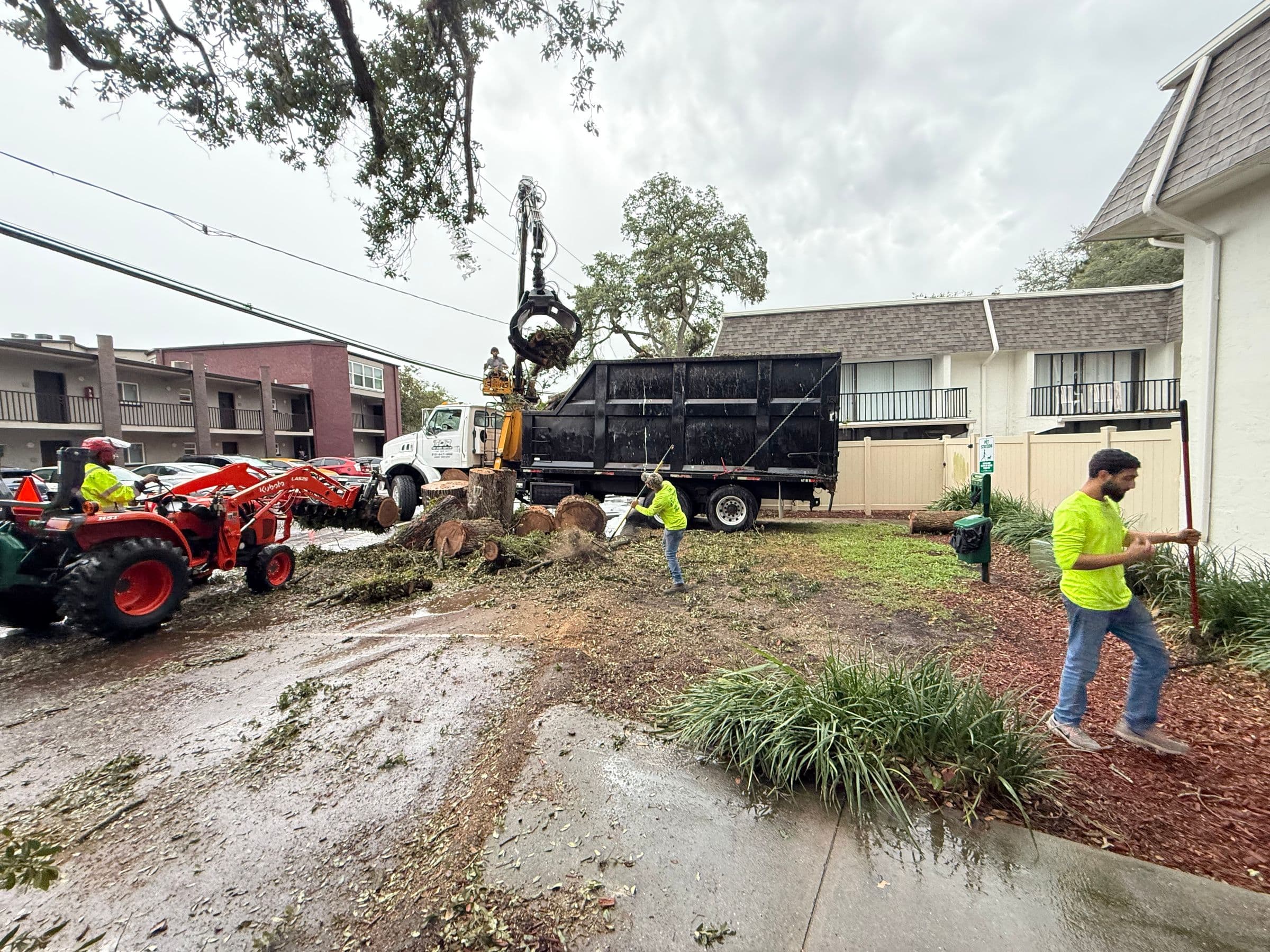 H&M Tree Service job photo 22