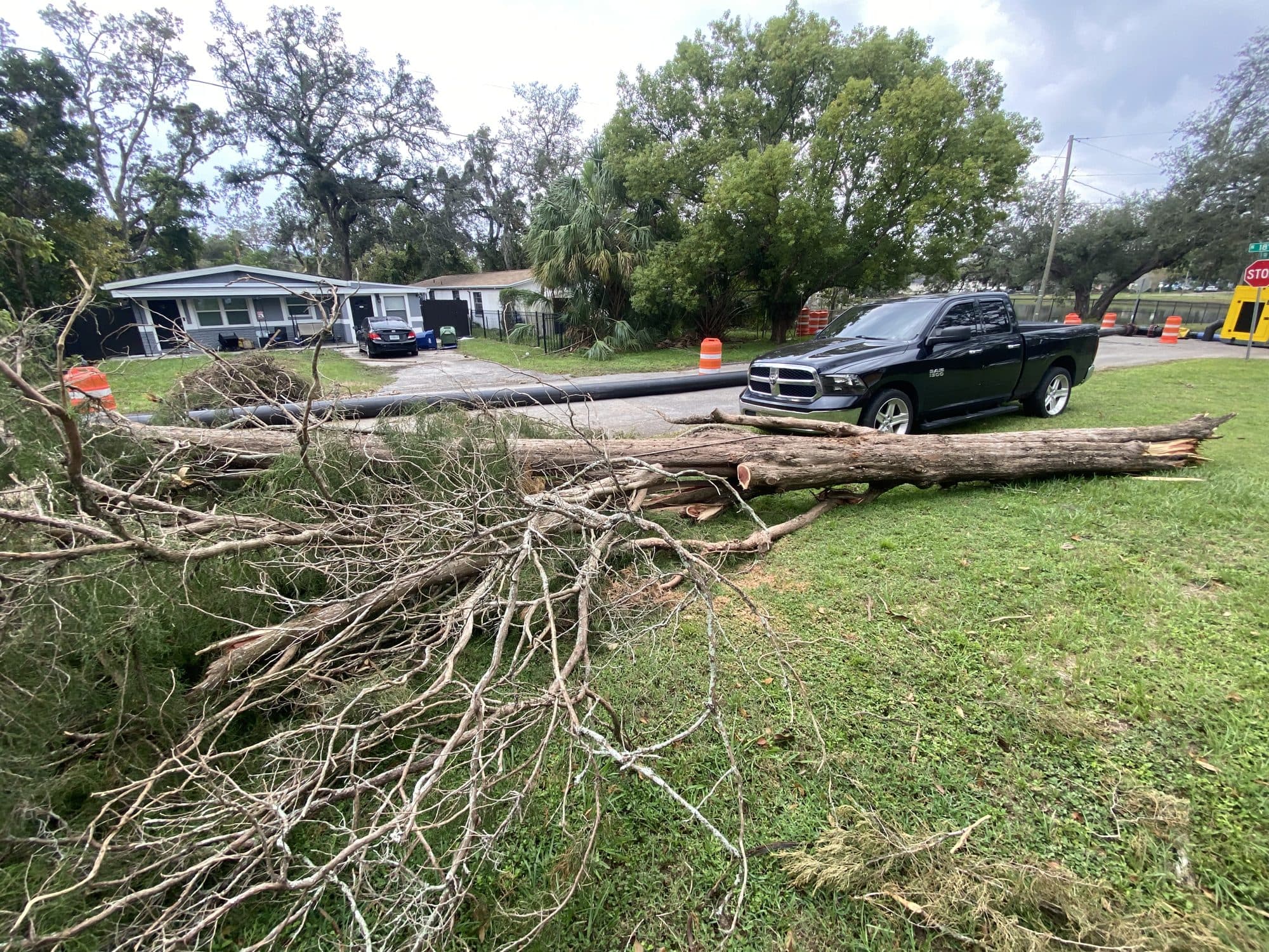 H&M Tree Service job photo 21