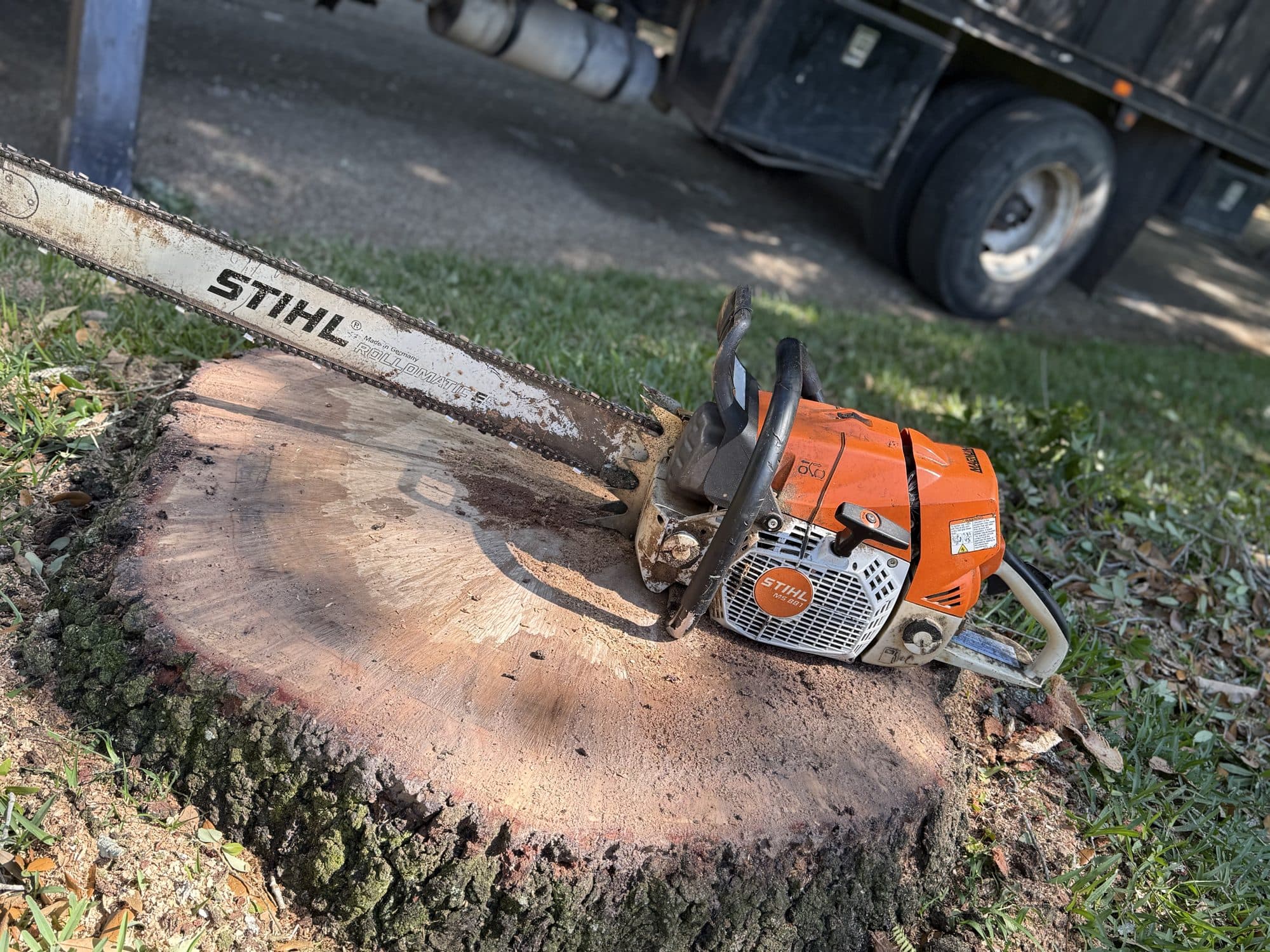 H&M Tree Service job photo 38