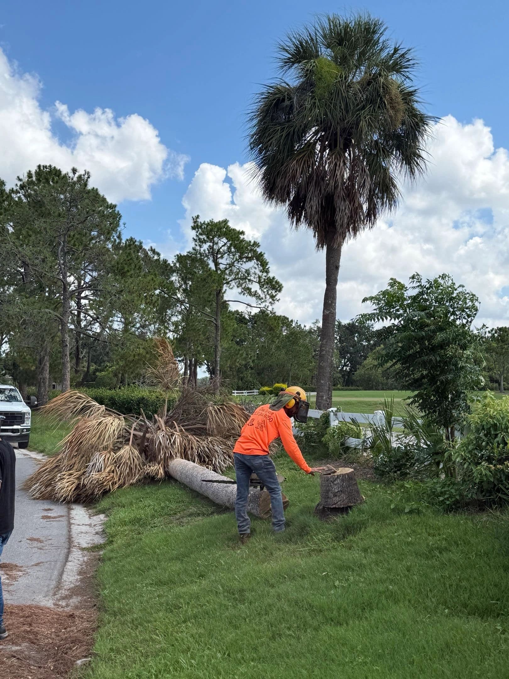H&M Tree Service job photo 47