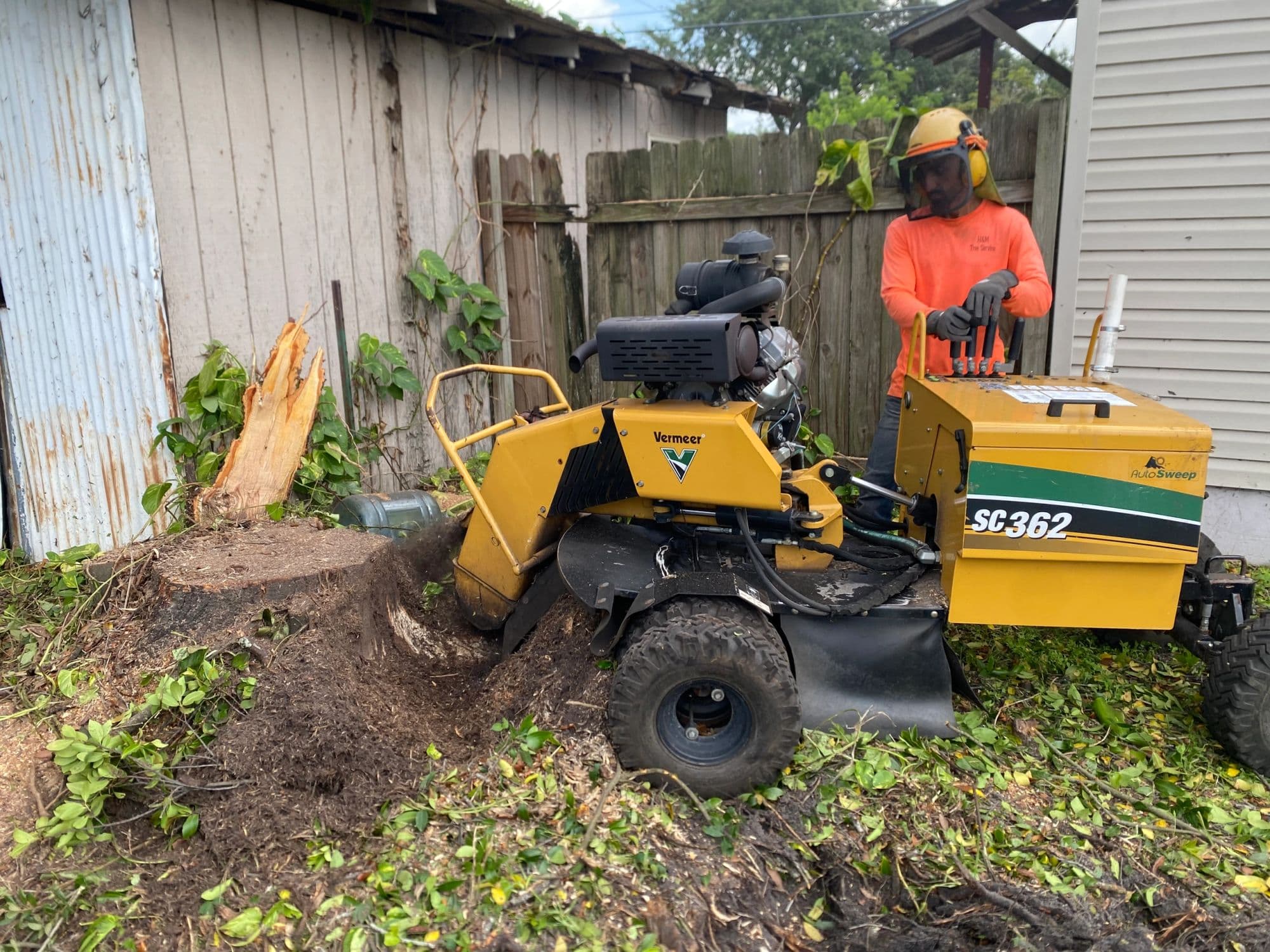 H&M Tree Service job photo 57