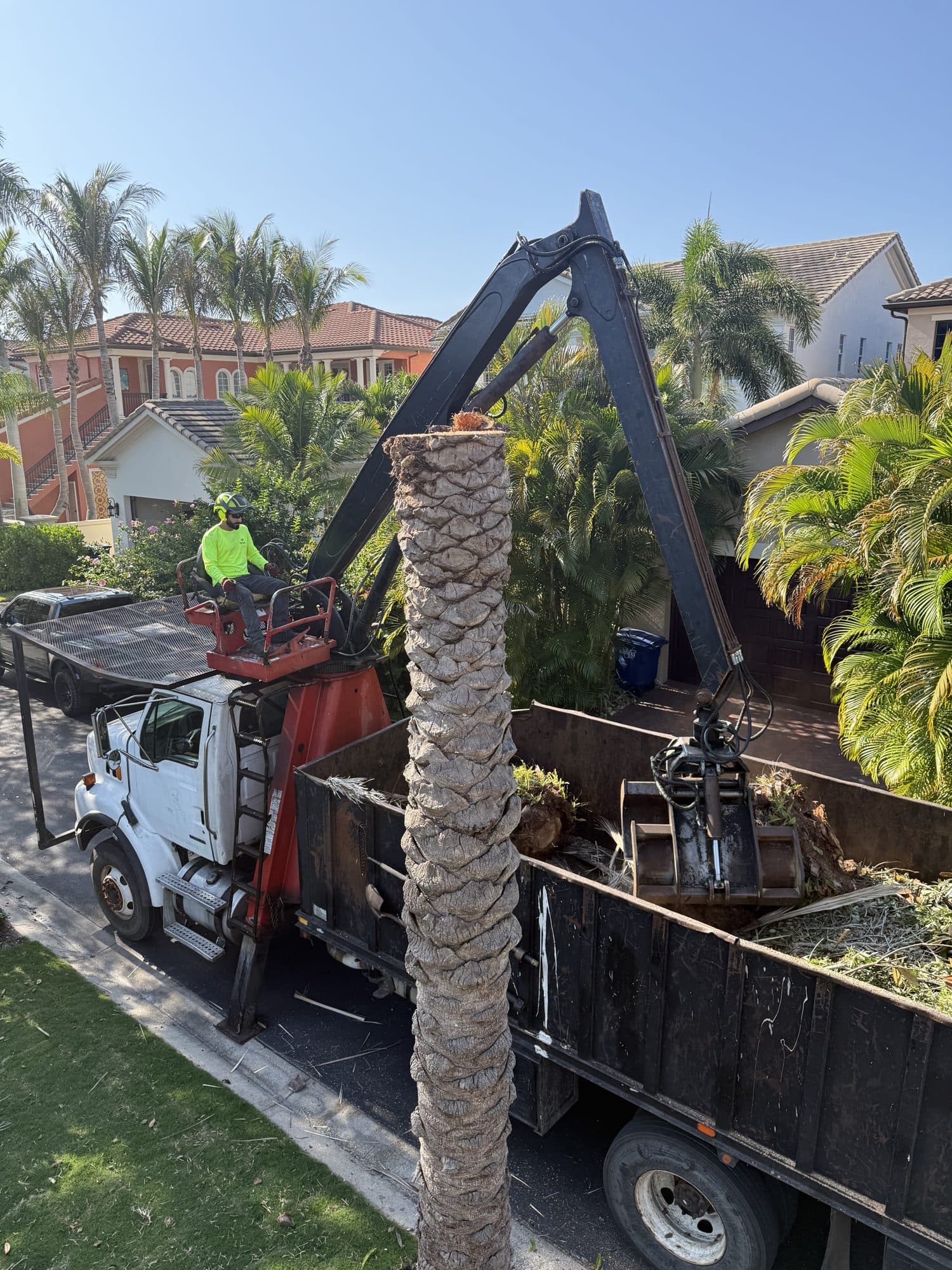 H&M Tree Service job photo 45