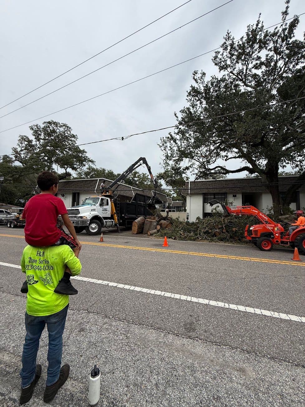 H&M Tree Service job photo 121