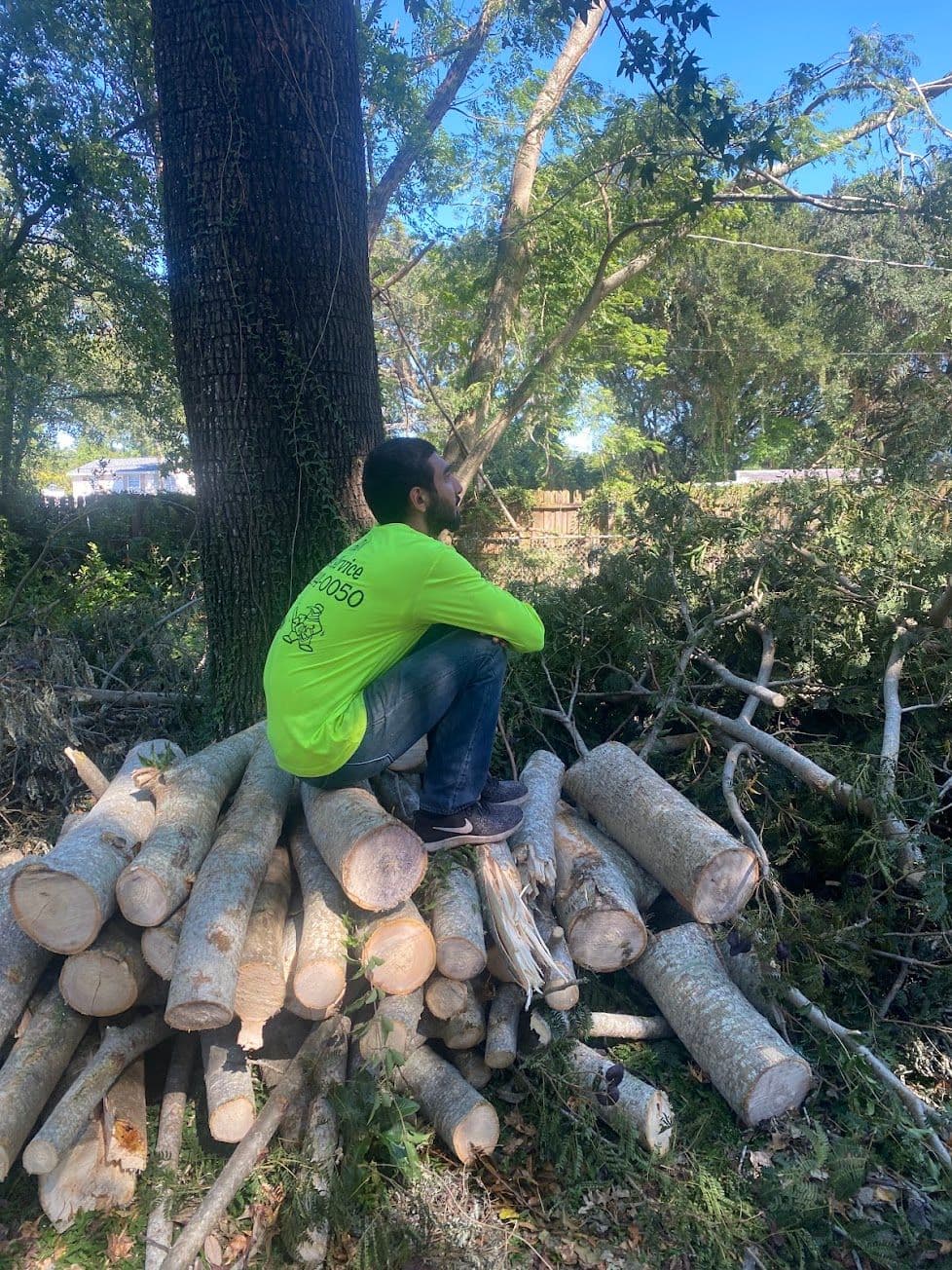 H&M Tree Service job photo 116