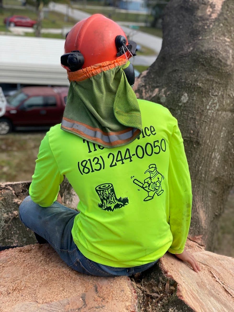 H&M Tree Service job photo 152