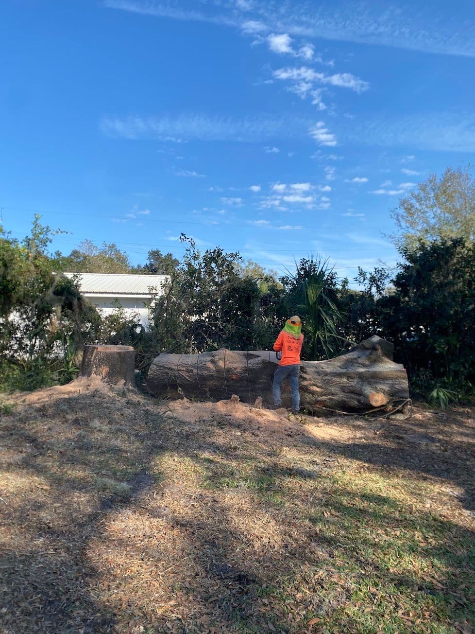 H&M Tree Service job photo 139