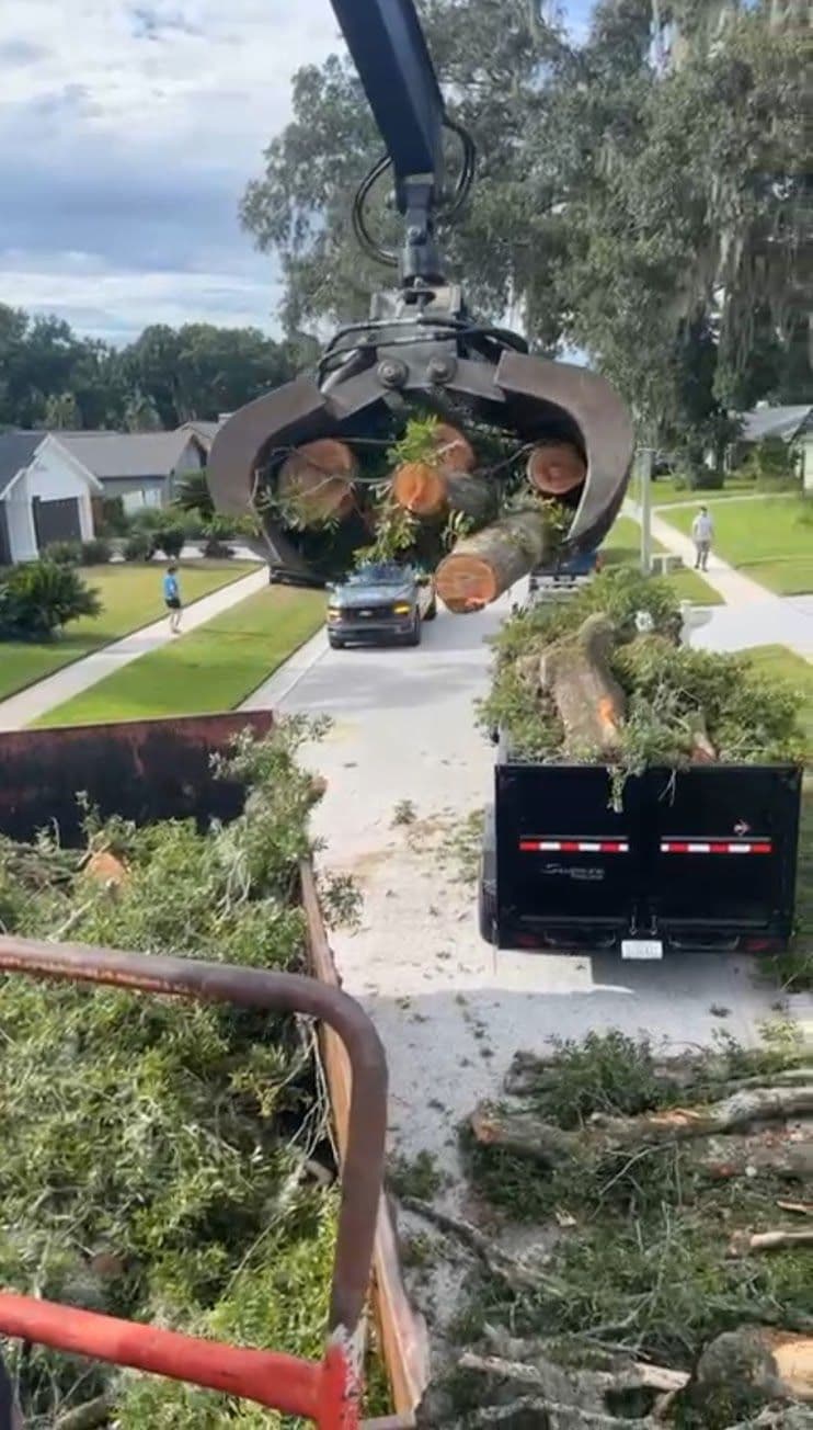 H&M Tree Service job photo 157