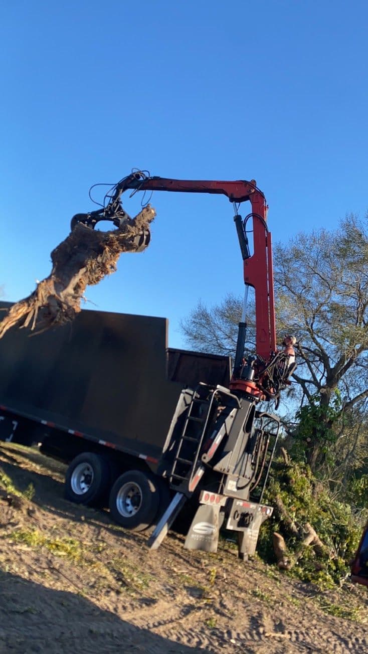 H&M Tree Service job photo 158