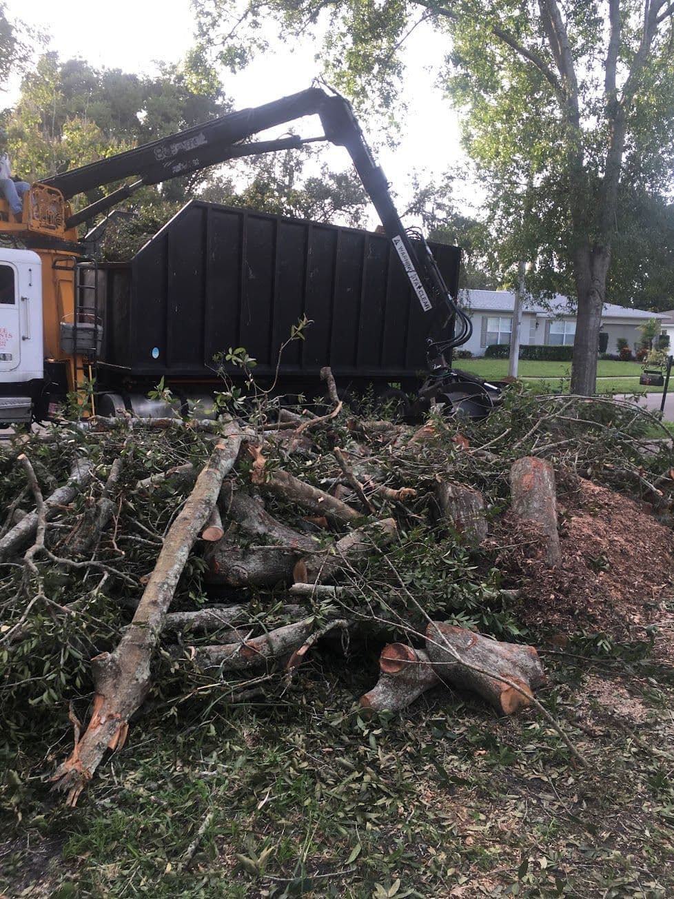 H&M Tree Service job photo 122
