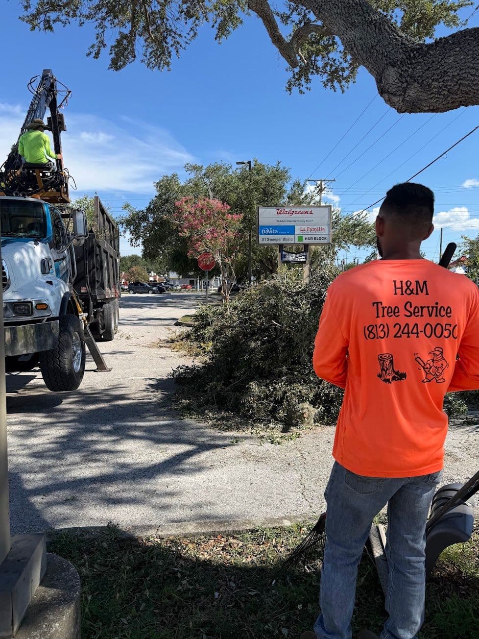 H&M Tree Service job photo 131