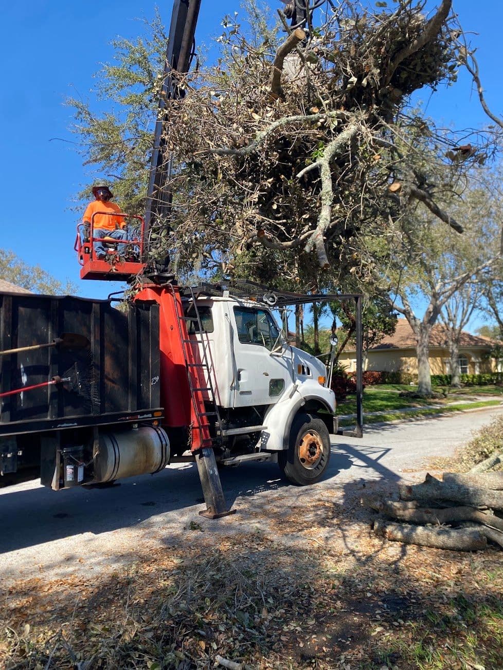 H&M Tree Service job photo 126