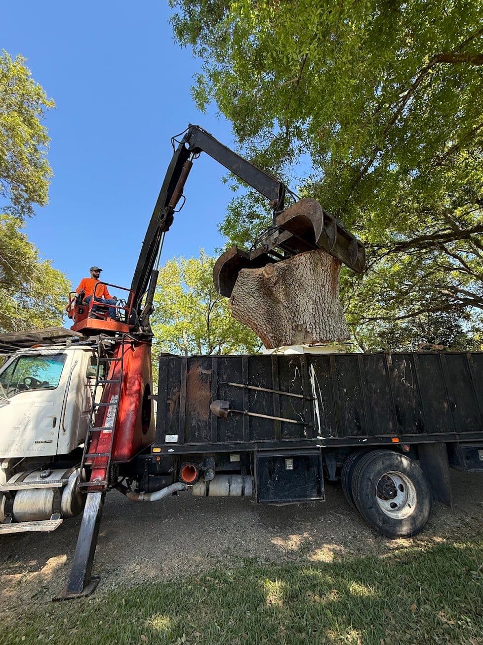 H&M Tree Service job photo 117