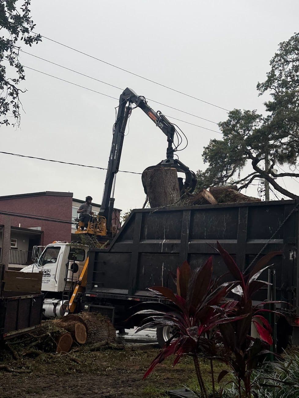 H&M Tree Service job photo 148