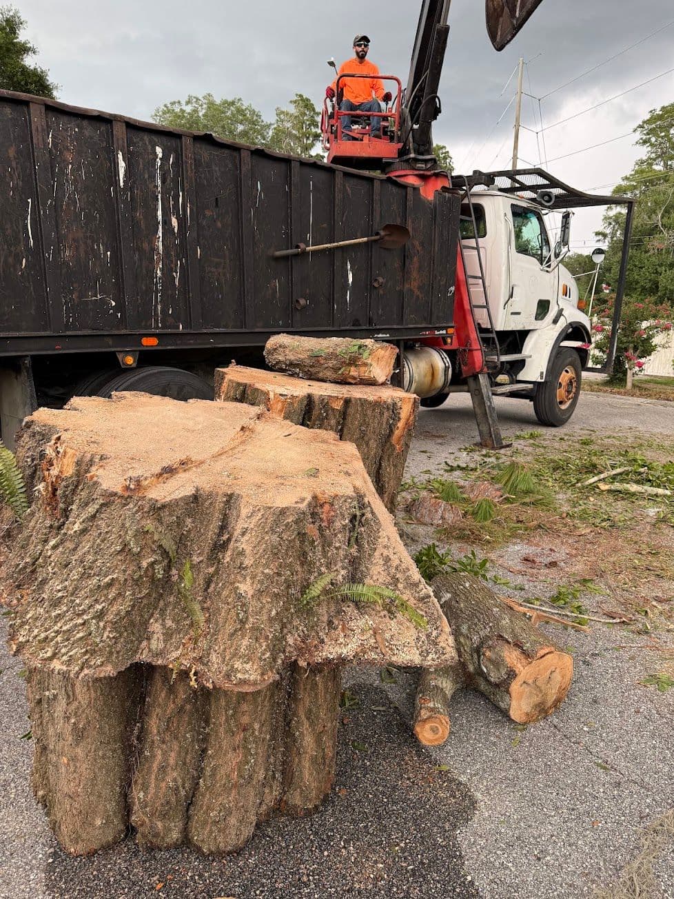 H&M Tree Service job photo 106