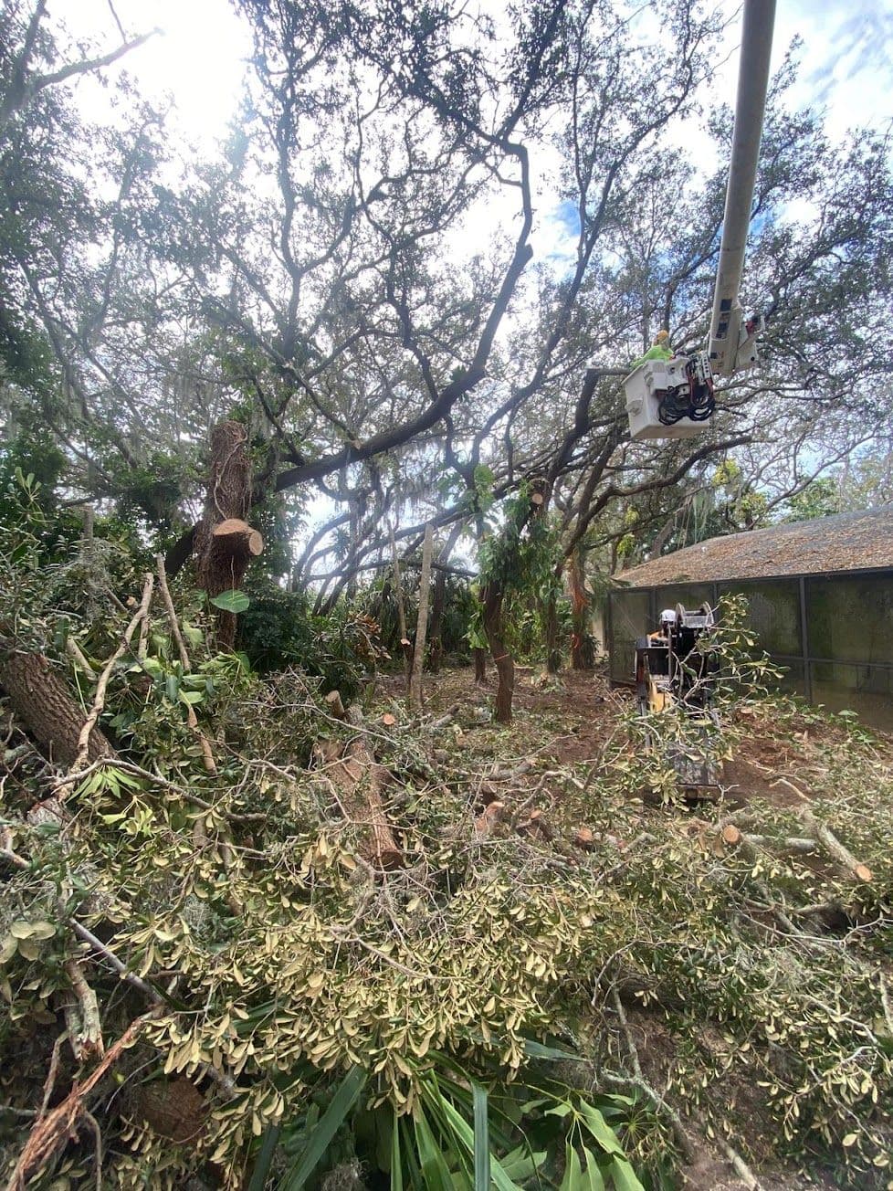 H&M Tree Service job photo 88