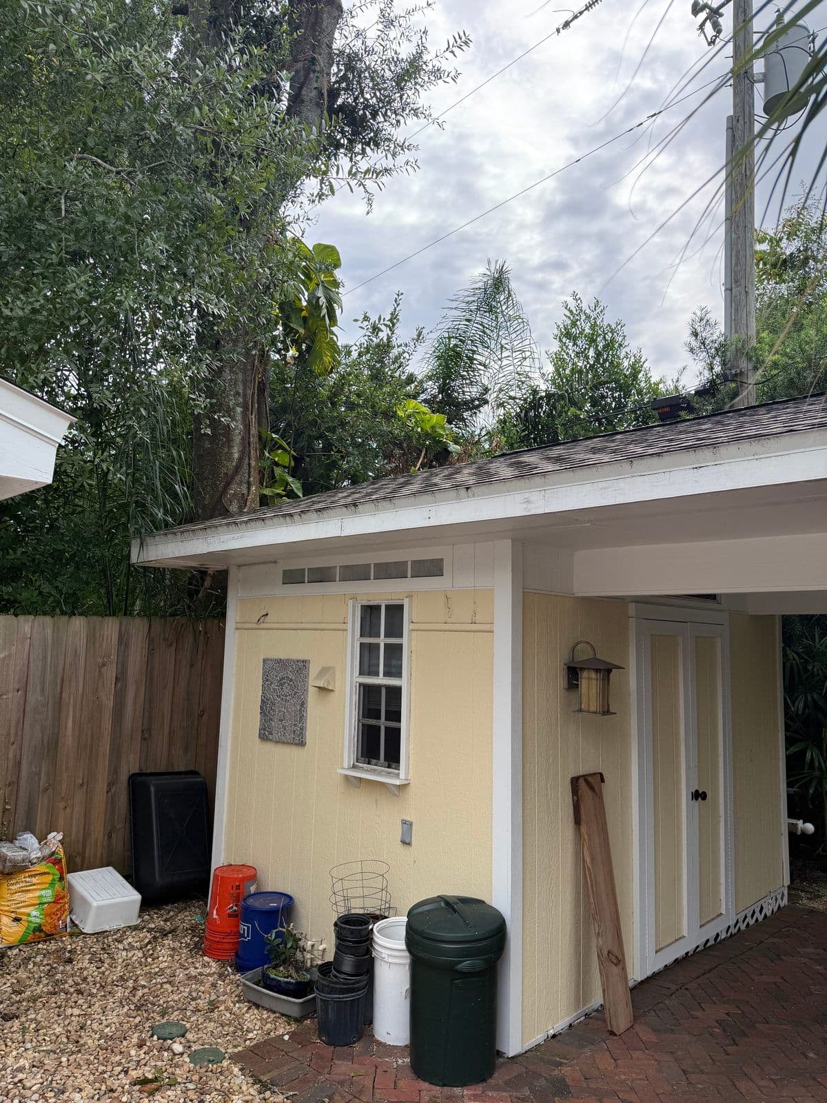 Limb removal shed roof — H&M Tree Service, Tampa