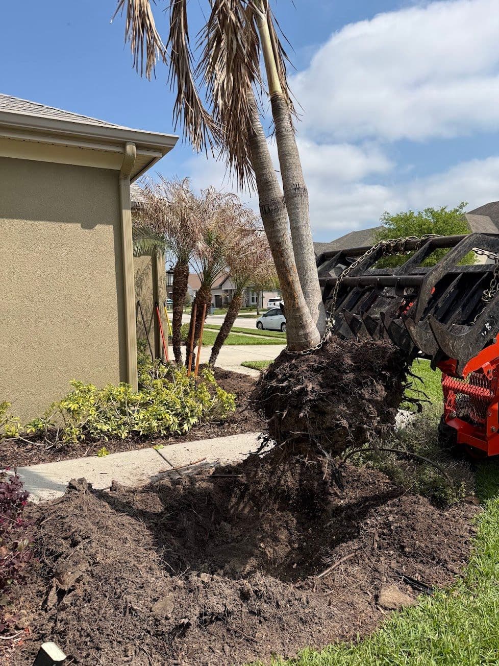 H&M Tree Service job photo 110