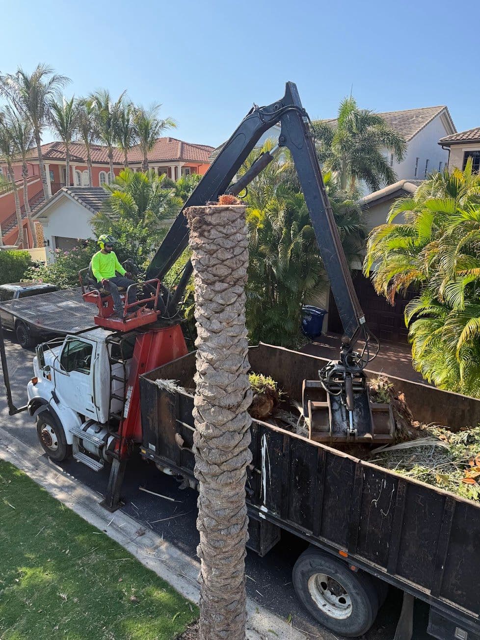 H&M Tree Service job photo 135
