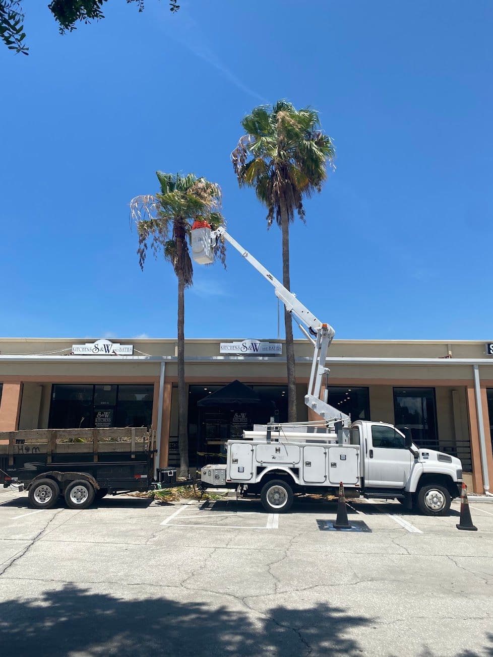 H&M Tree Service job photo 154