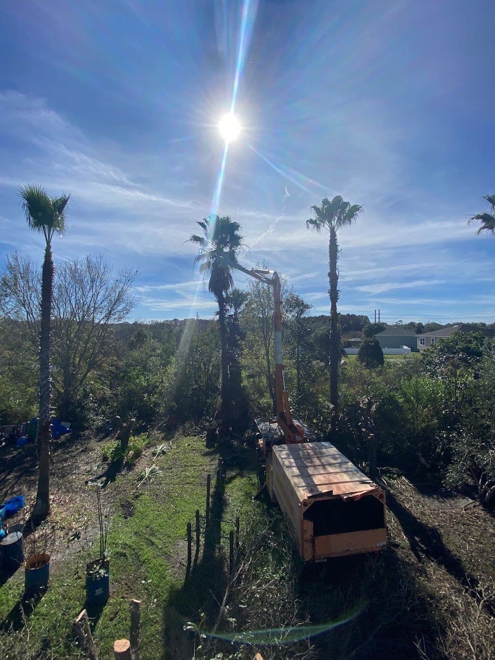 H&M Tree Service job photo 144