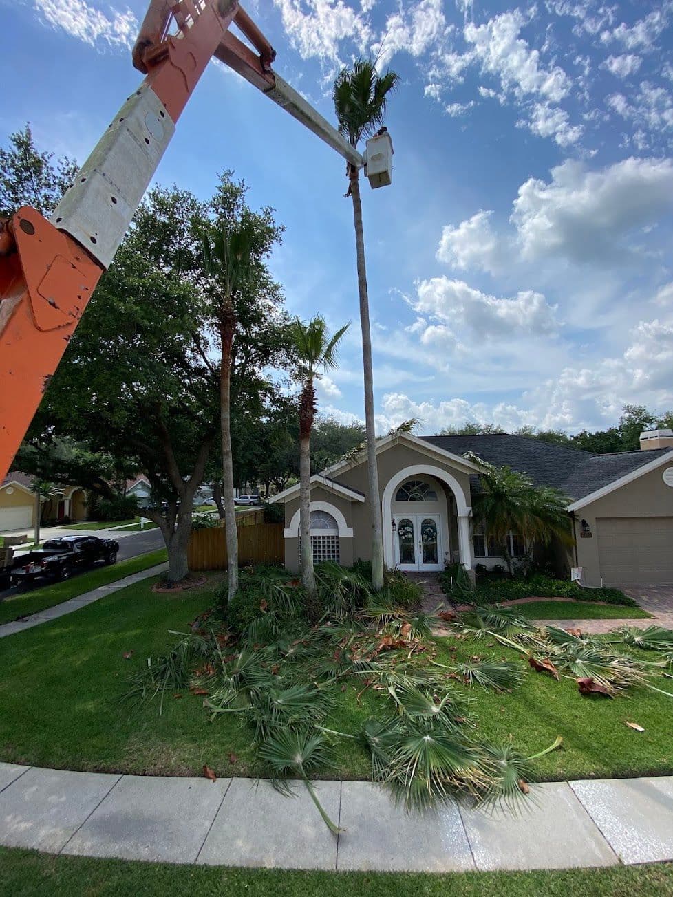 H&M Tree Service job photo 140