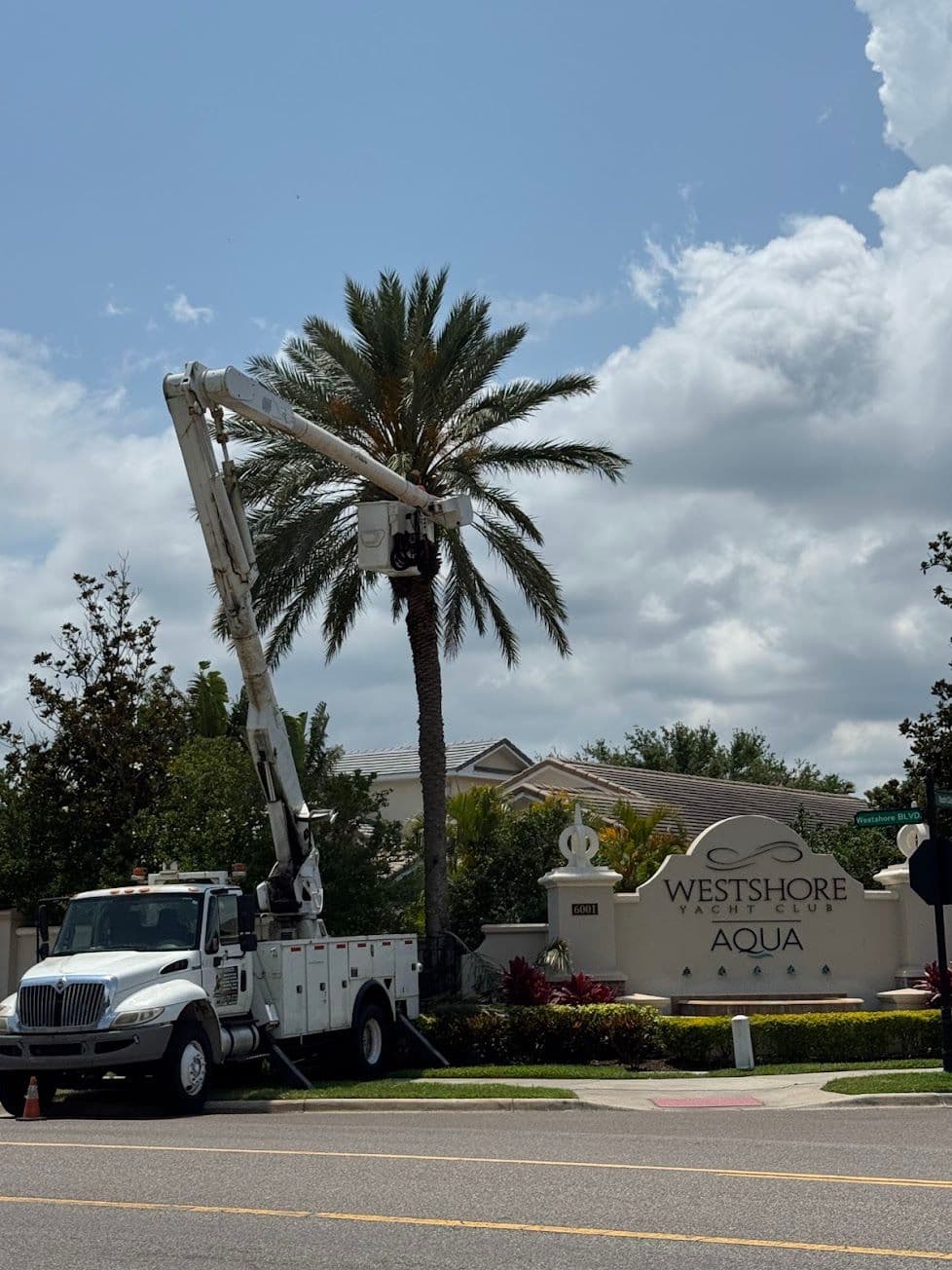 H&M Tree Service job photo 153