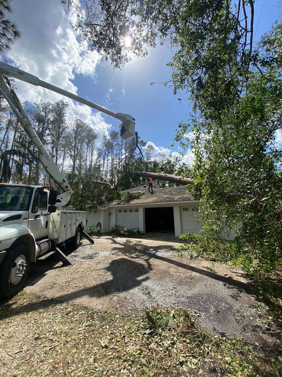 H&M Tree Service job photo 103