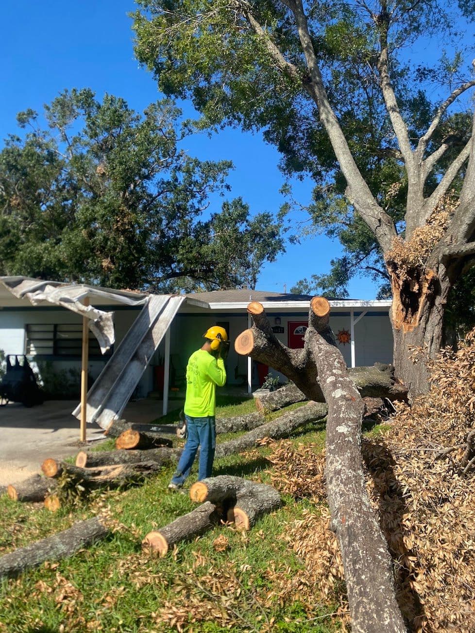 H&M Tree Service job photo 105